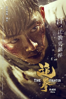 The Fighter Trailer