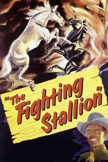 The Fighting Stallion Trailer
