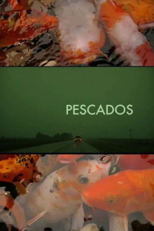 The Fish Trailer