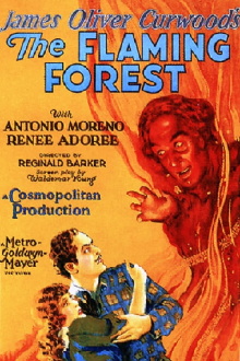 The Flaming Forest Trailer
