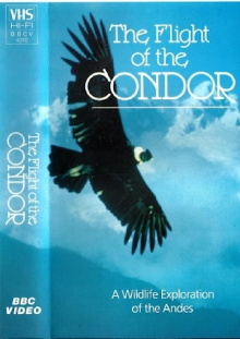 The Flight of the Condor Trailer