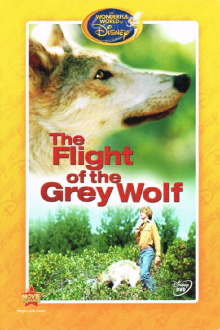 The Flight of the Grey Wolf Trailer