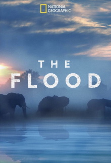 The Flood Trailer