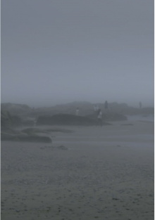 The Fog Has Covered The Moment Again Trailer