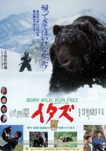 The Forest of the Little Bear Trailer