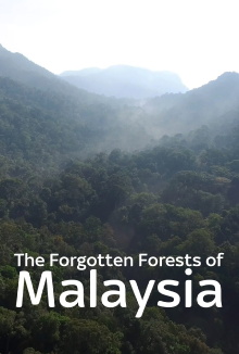The Forgotten Forests of Malaysia Trailer