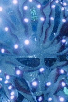 The Fortune You Seek Is In Another Cookie Trailer