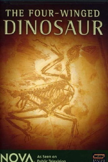 The Four-Winged Dinosaur Trailer