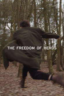 The Freedom of Herds Trailer