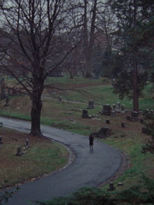 The Funeral Trailer
