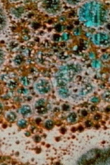 The Galilean Satellites- Callisto Trailer