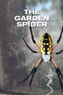 The Garden Spider Trailer
