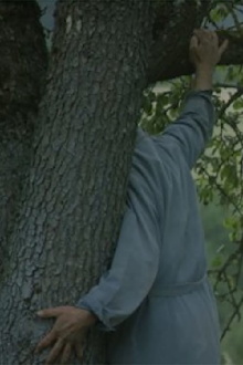 The Gardener Trailer