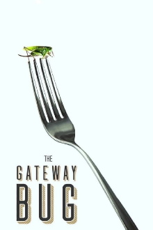 The Gateway Bug Trailer