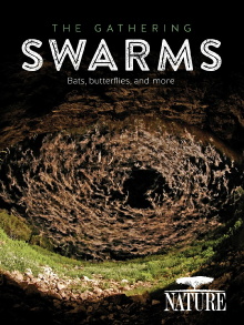 The Gathering Swarms Trailer