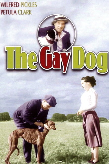 The Gay Dog Trailer