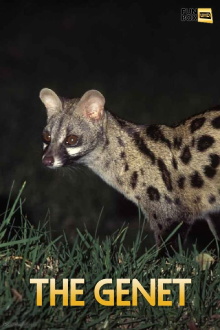 The Genet Trailer