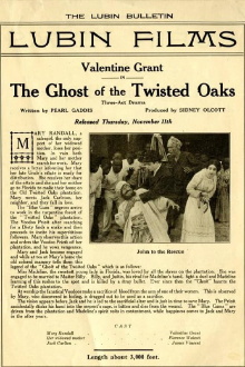 The Ghost of Twisted Oaks Trailer