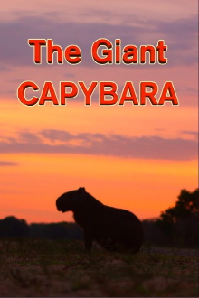 The Giant Capybara Trailer