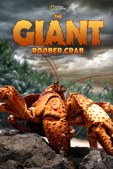 The Giant Robber Crab Trailer