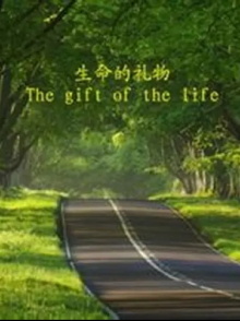 The Gift of the Life Trailer
