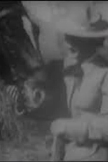 The Girl from Montana Trailer