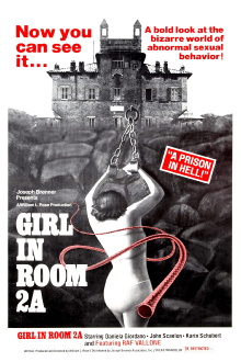 The Girl in Room 2A Trailer
