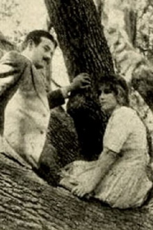 The Girl of the Grove Trailer