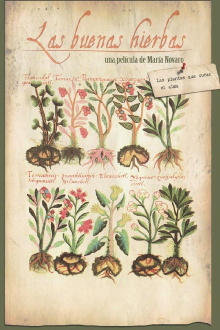The Good Herbs Trailer