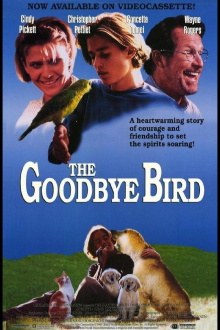The Goodbye Bird Trailer