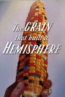 The Grain That Built a Hemisphere Trailer