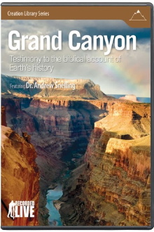 The Grand Canyon Trailer