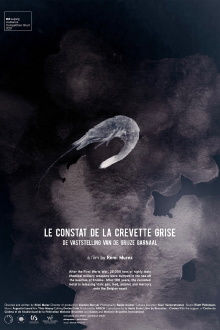 The Gray Shrimp Report Trailer