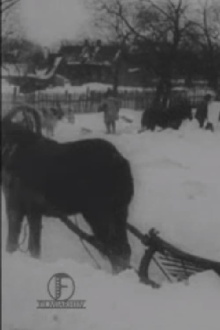 The Great Blizzard in the Baltics in December Trailer