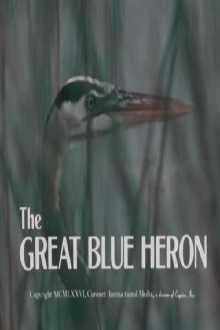 The Great Blue Heron Trailer