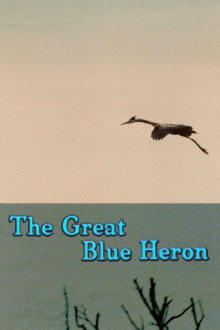 The Great Blue Heron Trailer