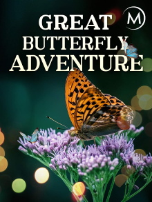 The Great Butterfly Adventure: Africa to Britain with the Painted Lady Trailer
