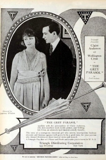 The Grey Parasol Trailer