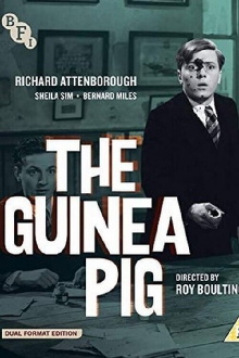The Guinea Pig Trailer