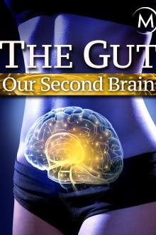 The Gut: Our Second Brain Trailer
