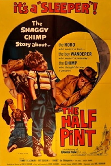 The Half Pint Trailer