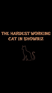 The Hardest Working Cat in Showbiz Trailer
