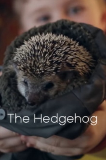 The Hedgehog Trailer
