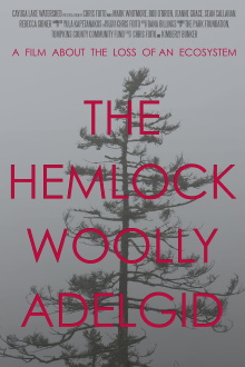 The Hemlock Woolly Adelgid: A Film About the Loss of an Ecosystem Trailer