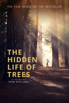The Hidden Life of Trees Trailer