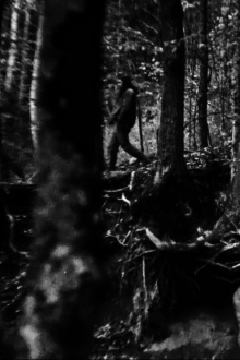 The Hollow Trailer