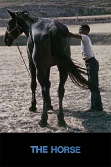 The Horse Trailer