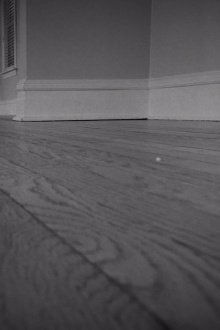 The House Is Empty Trailer