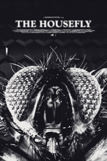 The Housefly Trailer