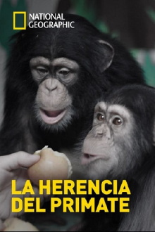 The Human Ape Trailer